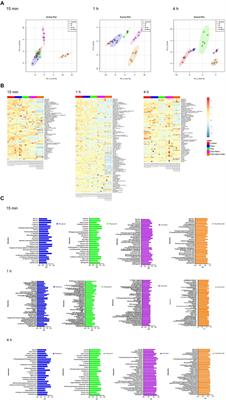 Metabolomic profiling of polymyxin-B in combination with meropenem and sulbactam against multi-drug resistant Acinetobacter baumannii